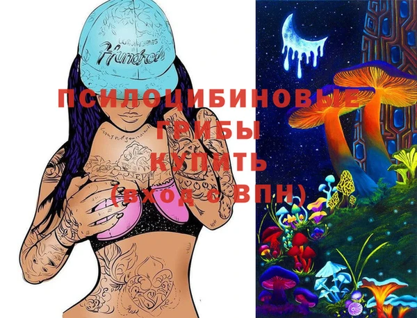 бошки Арсеньев