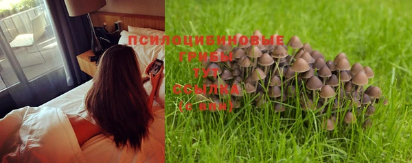 марки nbome Аркадак