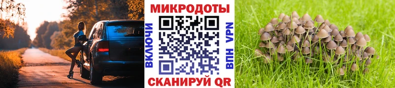 дарнет шоп  mega зеркало  Галлюциногенные грибы Magic Shrooms  Соликамск 
